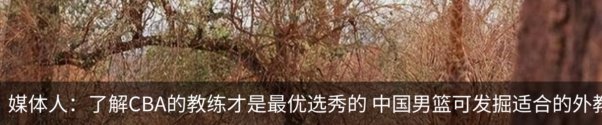 资讯中心